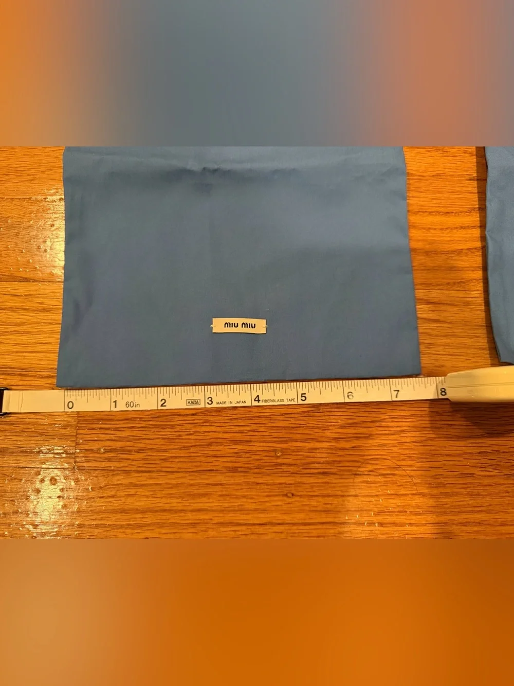 Miu Miu Blue Accessories Dust Bags Set of 2